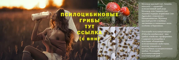 спайс Козловка