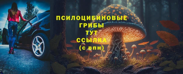 спайс Козловка