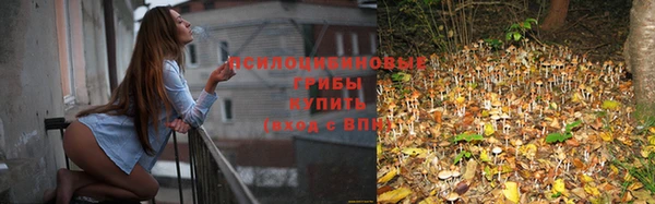 mdpv Краснослободск